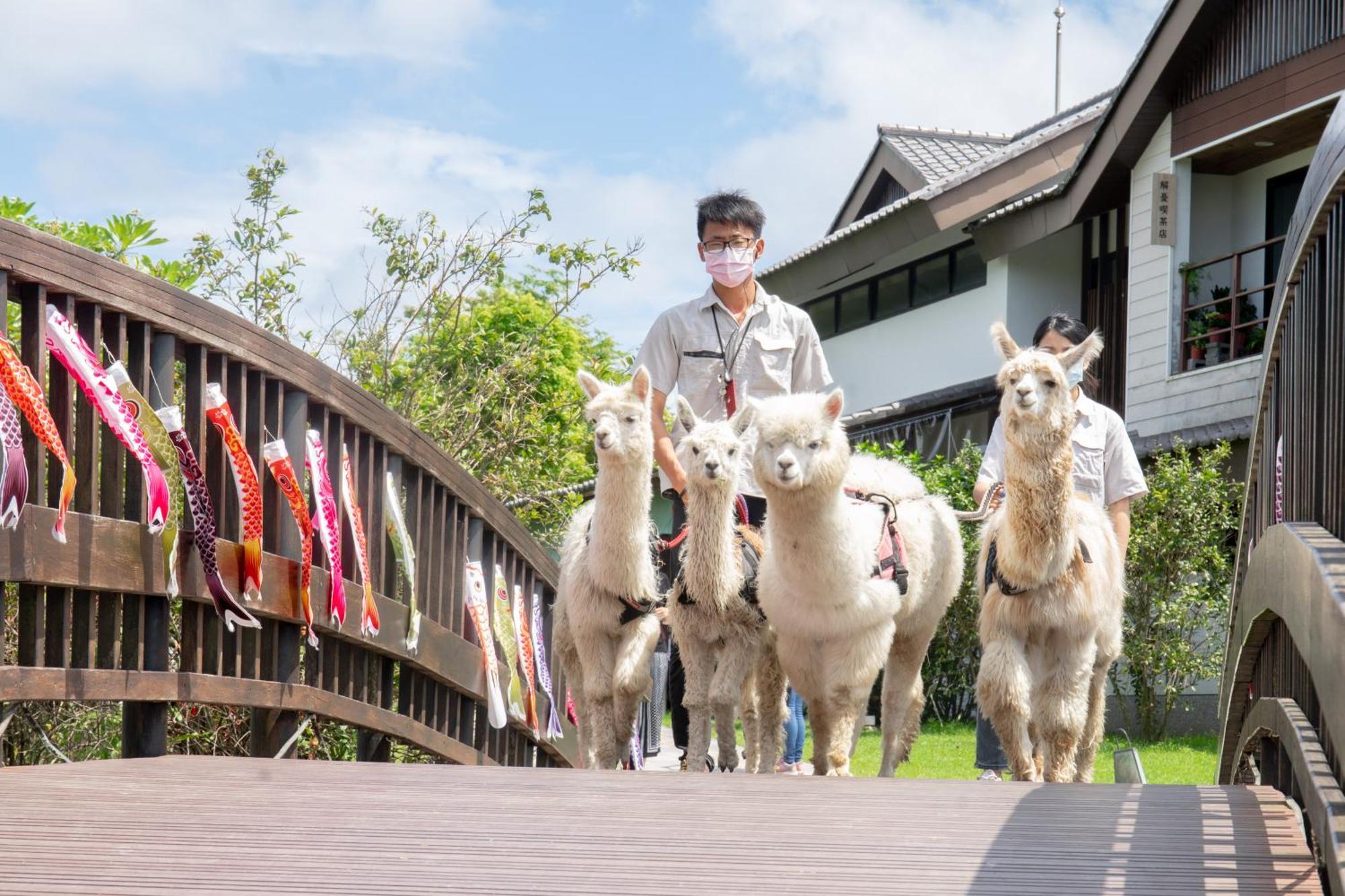 Dancewoods Hotel 五結郷 エクステリア 写真